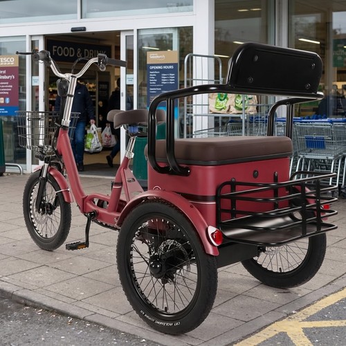 Electric cargo trike adult - cargo,