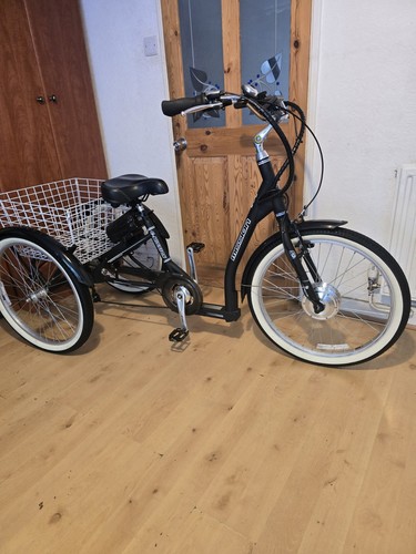 Adults tricycle mission - adults,
