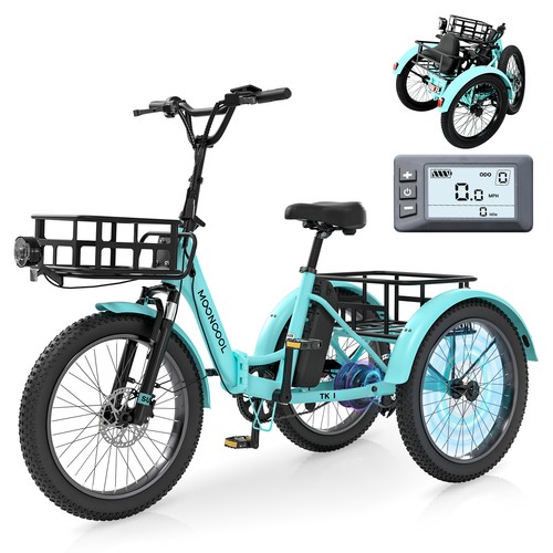 Mooncool 20in 36v - fat, tyres
