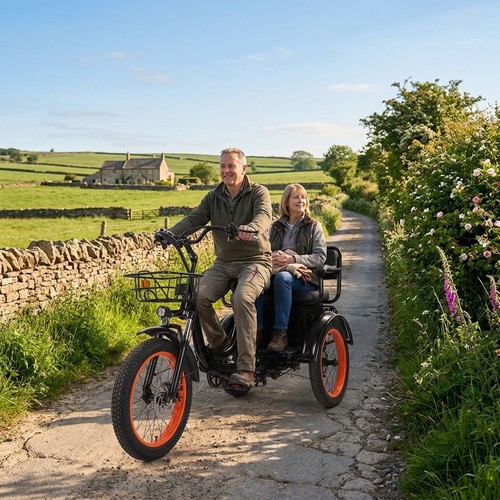 Adult electric trike - adult, 20