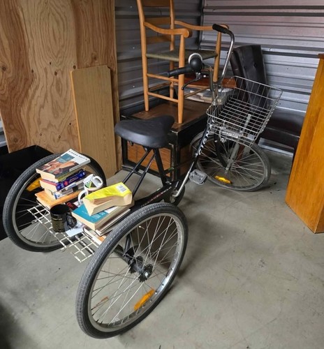 Vintage cignal adult tricycle - cignal,