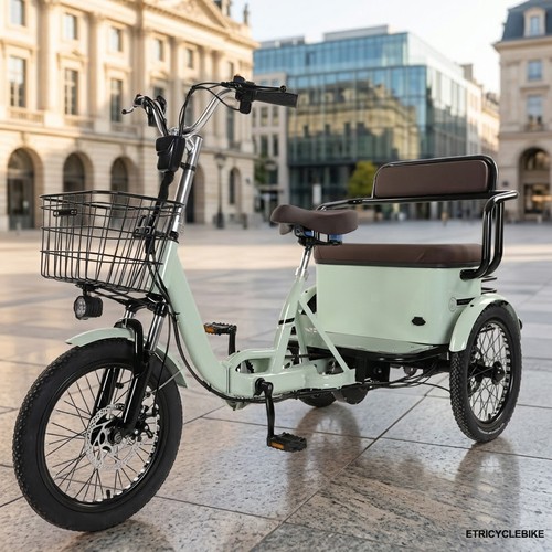 Electric trike 48v - trike,