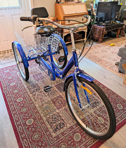 Blue adult tricycle shopping - adult,