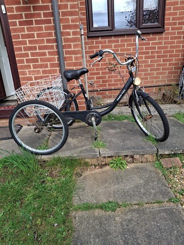 Adult tricycle trike - adult,