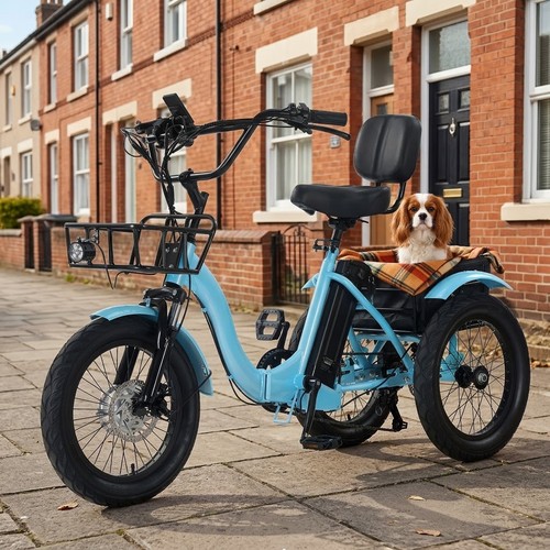 Electric tricycle with - 18'',