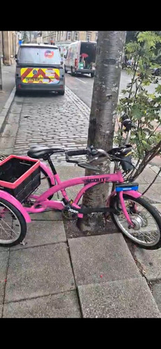 Scoot pink adult tricycle - pink,