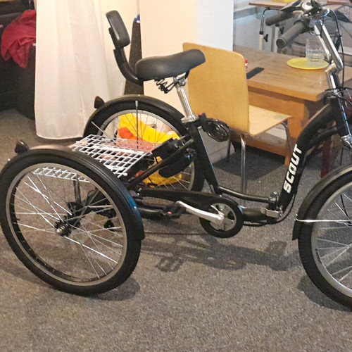 Scout unisex kids - kids, tricycle