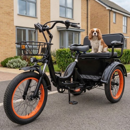 Electric tricycle adult - electric,