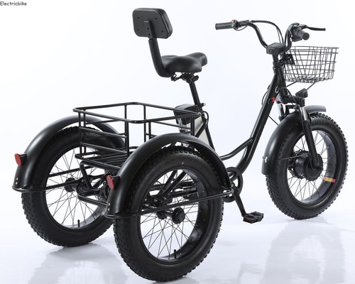 48v electric tricycle 140kg - 48v,