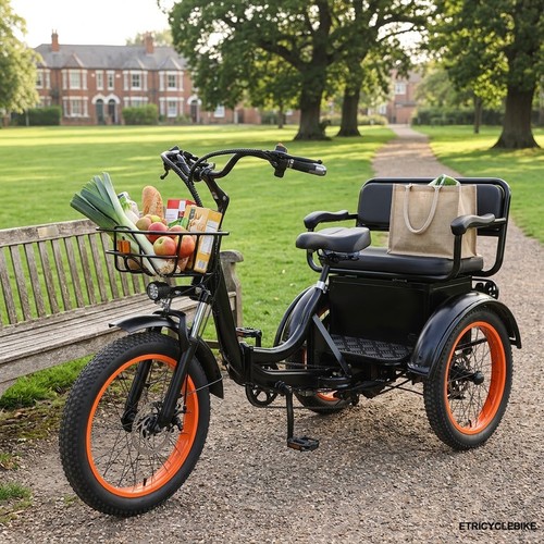 Adult e tricycle - adult, e-tricycle