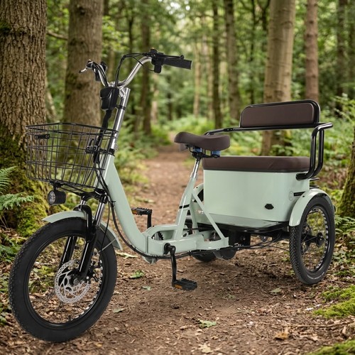 Folding electric tricycle - 18'',