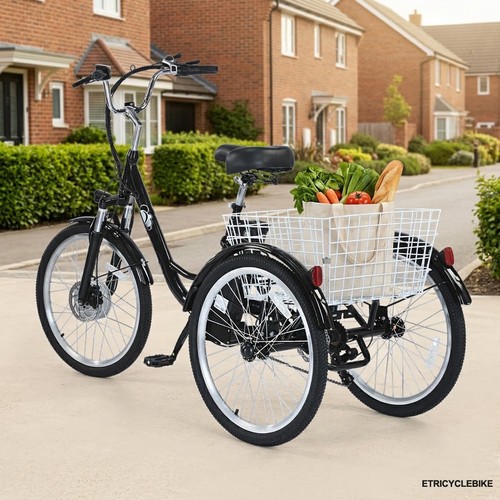 Electric tricycle adult e - 24'',