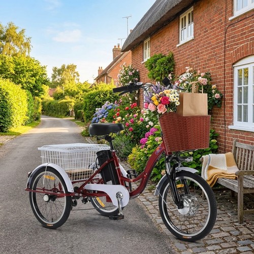 Electric mobility trike adults - mobility,