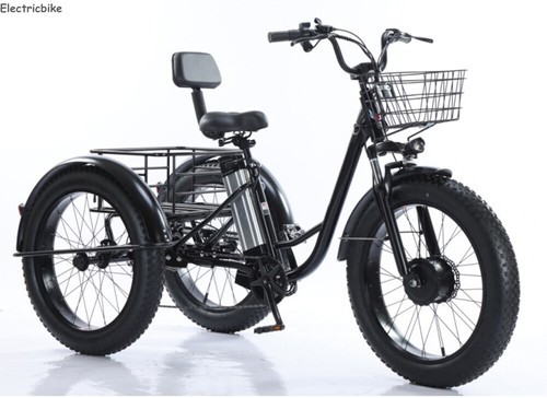 48v electric tricycle lcd - 20",