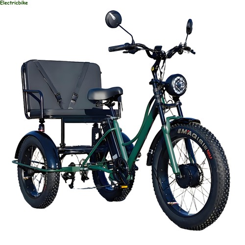 Electric tricycle 48v - 24",